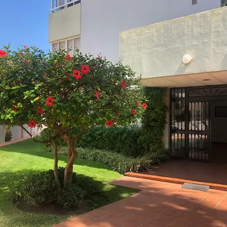 公寓 Malagasuite Viewpoint 托雷莫利诺斯